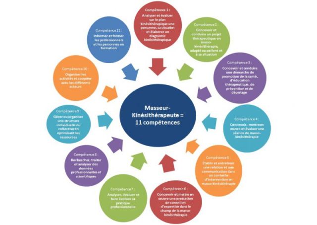 diagramme de compétences masseur kinésithérapeute